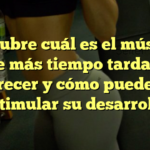 Descubre cuál es el músculo que más tiempo tarda en crecer y cómo puedes estimular su desarrollo