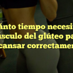 ¿Cuánto tiempo necesita el músculo del glúteo para descansar correctamente?