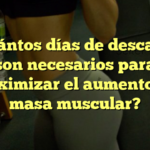 ¿Cuántos días de descanso son necesarios para maximizar el aumento de masa muscular?