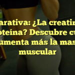 Comparativa: ¿La creatina o la proteína? Descubre cuál aumenta más la masa muscular