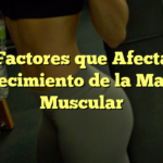 Los Factores que Afectan el Crecimiento de la Masa Muscular