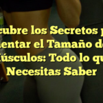 Descubre los Secretos para Aumentar el Tamaño de tus Músculos: Todo lo que Necesitas Saber