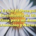 Cómo Evitar el Desequilibrio en el Crecimiento de Glúteos: Una Guía para un Aumento Armonioso y Natural