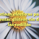 Rutinas efectivas para aumentar glúteos sin dañar las rodillas