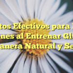 Secretos Efectivos para Evitar Lesiones al Entrenar Glúteos de Manera Natural y Segura