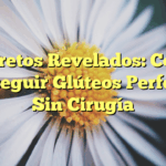 Secretos Revelados: Cómo Conseguir Glúteos Perfectos Sin Cirugía