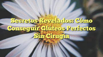 Secretos Revelados: Cómo Conseguir Glúteos Perfectos Sin Cirugía