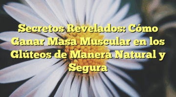Secretos Revelados: Cómo Ganar Masa Muscular en los Glúteos de Manera Natural y Segura