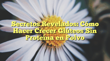 Secretos Revelados: Cómo Hacer Crecer Glúteos Sin Proteína en Polvo